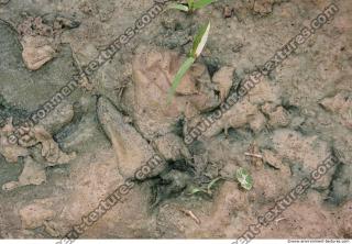 photo texture of soil mud